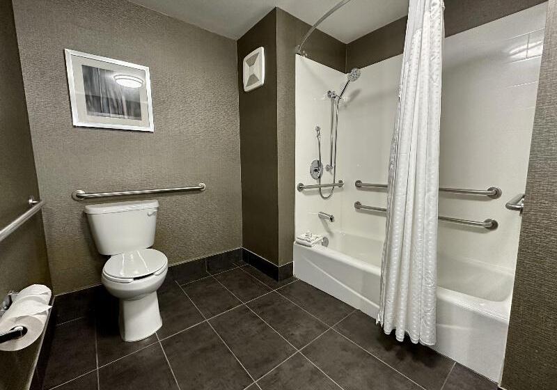 장애인을 위한 스탠다드 룸, Holiday Inn Carlsbad/san Diego, An Ihg
