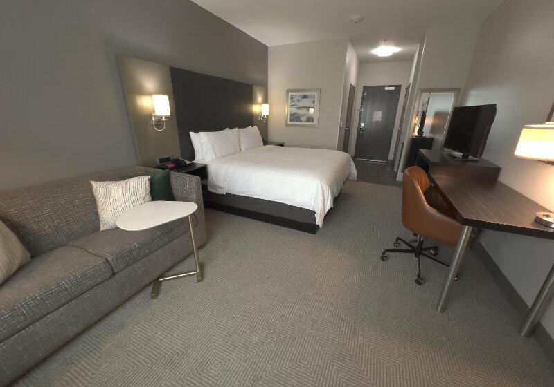 スタンダードルーム, Holiday Inn Carlsbad/san Diego, An Ihg