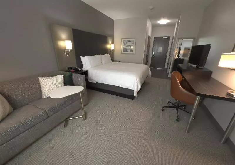 اتاق استاندارد, Holiday Inn Carlsbad/san Diego, An Ihg