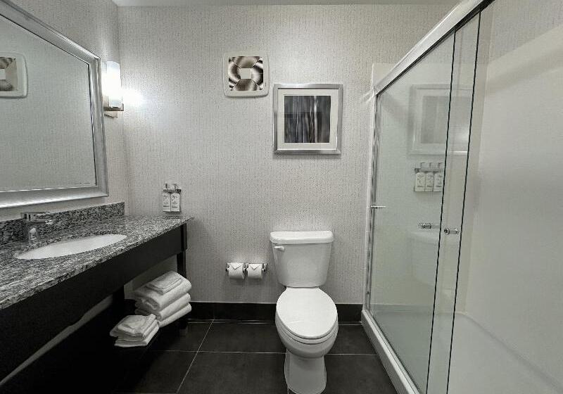 スタンダードルーム, Holiday Inn Carlsbad/san Diego, An Ihg