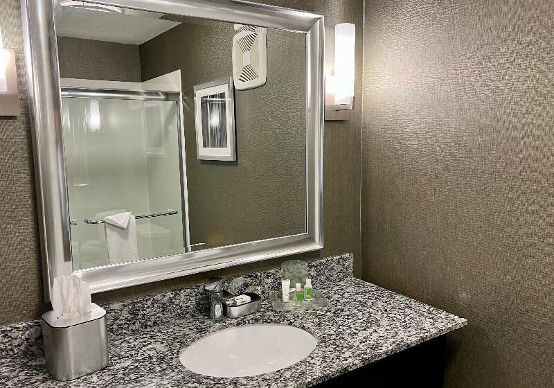스탠다드 룸, Holiday Inn Carlsbad/san Diego, An Ihg