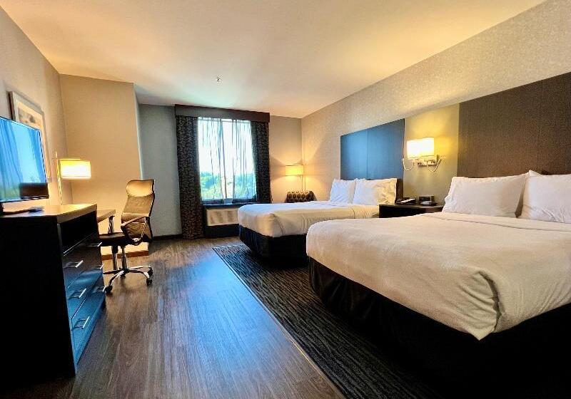 スタンダードルーム, Holiday Inn Carlsbad/san Diego, An Ihg