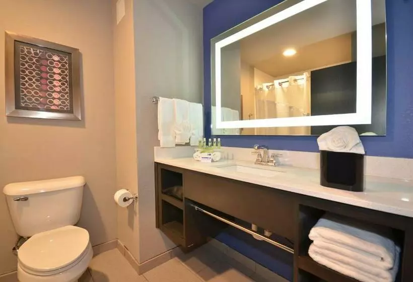 キングサイズベッドのスタンダードルーム, Holiday Inn Express & Suites Oklahoma City Mid   Arpt Area, An Ihg
