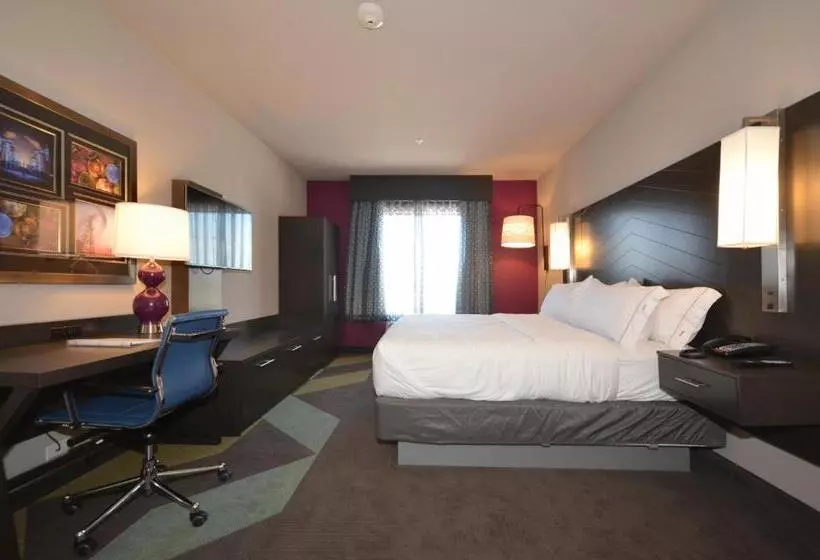 キングサイズベッドのスタンダードルーム, Holiday Inn Express & Suites Oklahoma City Mid   Arpt Area, An Ihg