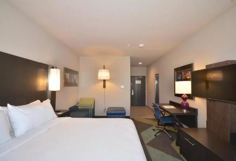 身障者適用キングサイズベッドルーム, Holiday Inn Express & Suites Oklahoma City Mid   Arpt Area, An Ihg