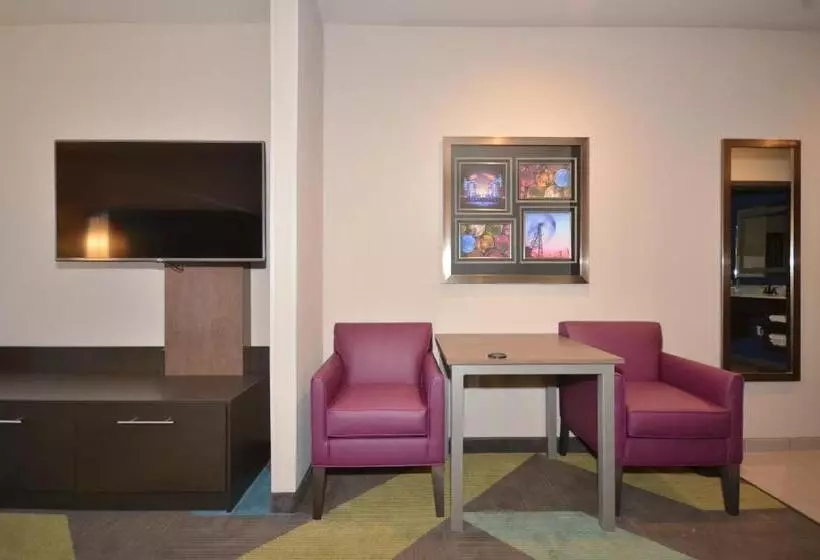 キングサイズベッドのエクゼクティブ, Holiday Inn Express & Suites Oklahoma City Mid   Arpt Area, An Ihg