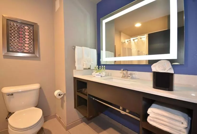 スイート, Holiday Inn Express & Suites Oklahoma City Mid   Arpt Area, An Ihg