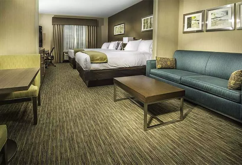 スイート, Holiday Inn Express & Suites Salt Lake City South   Murray By Ihg