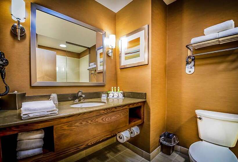 Люкс, Holiday Inn Express & Suites Salt Lake City South   Murray By Ihg
