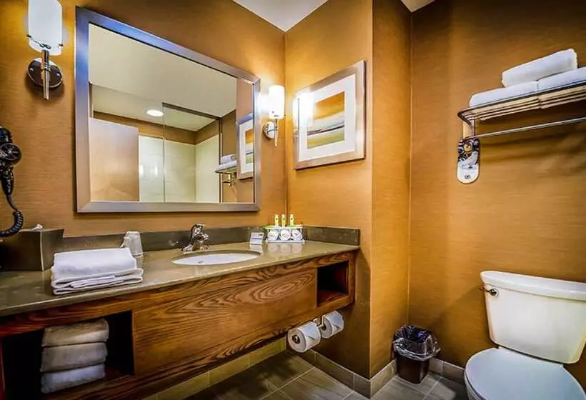 スイート, Holiday Inn Express & Suites Salt Lake City South   Murray By Ihg