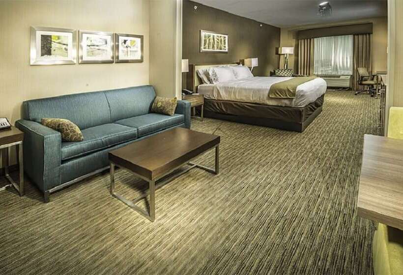 Люкс, Holiday Inn Express & Suites Salt Lake City South Murray By Ihg