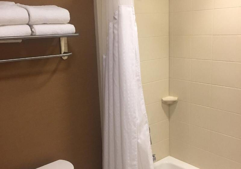 Номер Стандарт, Holiday Inn Express & Suites Salt Lake City South Murray By Ihg