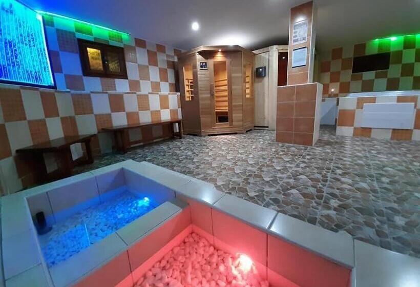 Номер Стандарт с доступом в Спа, Wellness & Sport Hotel Ttc