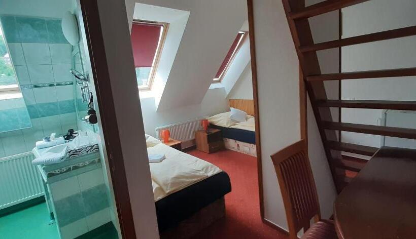 Номер Стандарт Индивидуальный, Wellness & Sport Hotel Ttc