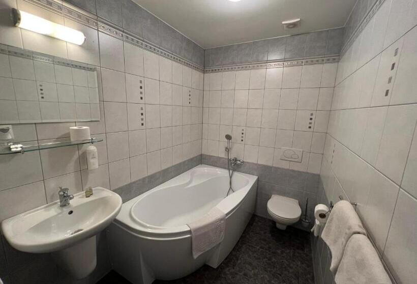 디럭스 룸, Wellness Penzion U Grygarů