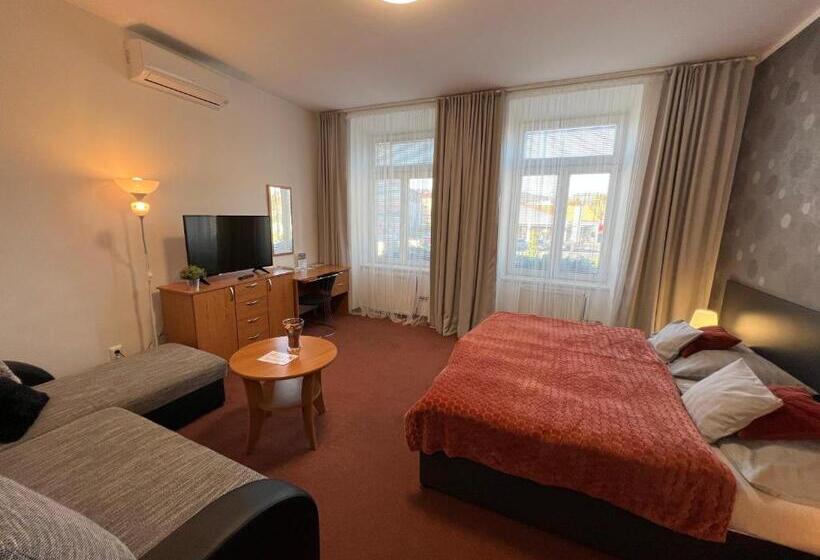 디럭스 룸, Wellness Penzion U Grygarů