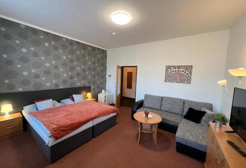 디럭스 룸, Wellness Penzion U Grygarů