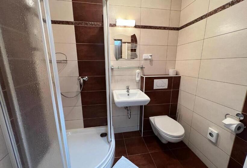 스탠다드 룸, Wellness Penzion U Grygarů