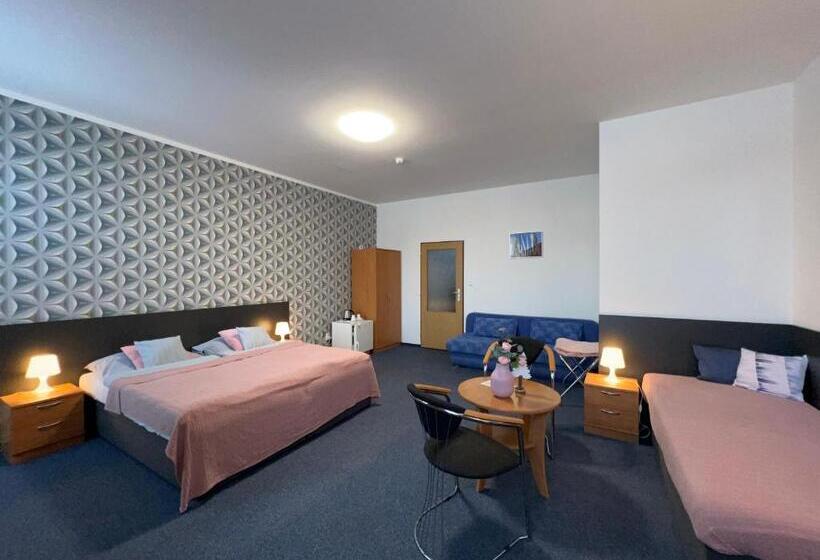 컴포트 트리플 룸, Wellness Penzion U Grygarů