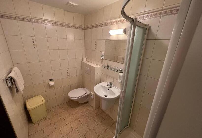 컴포트 룸, Wellness Penzion U Grygarů