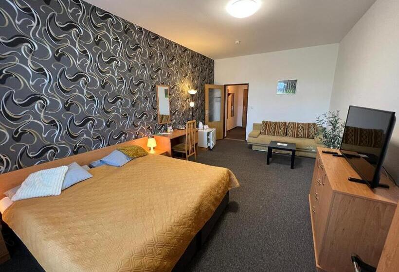 컴포트 룸, Wellness Penzion U Grygarů