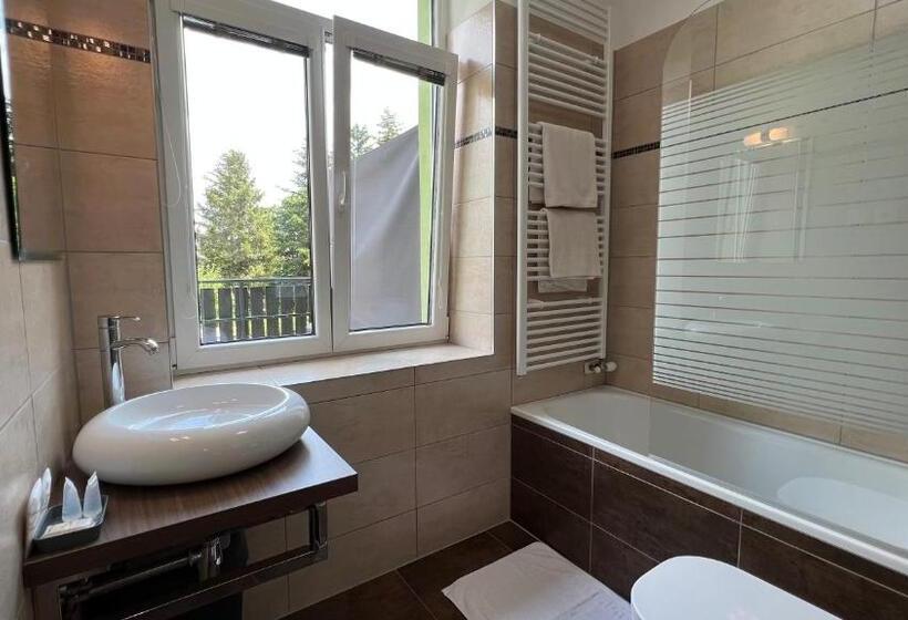 디럭스 룸, Wellness Penzion U Grygarů