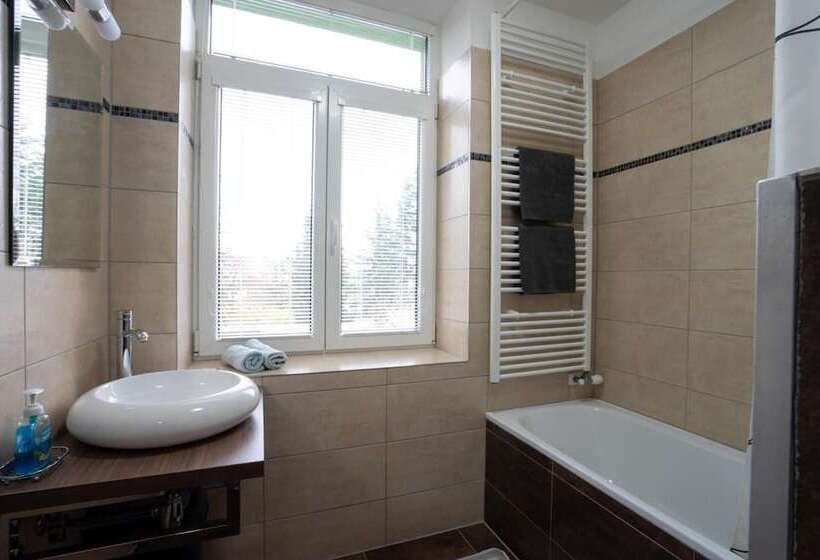 Номер Deluxe, Wellness Penzion U Grygarů