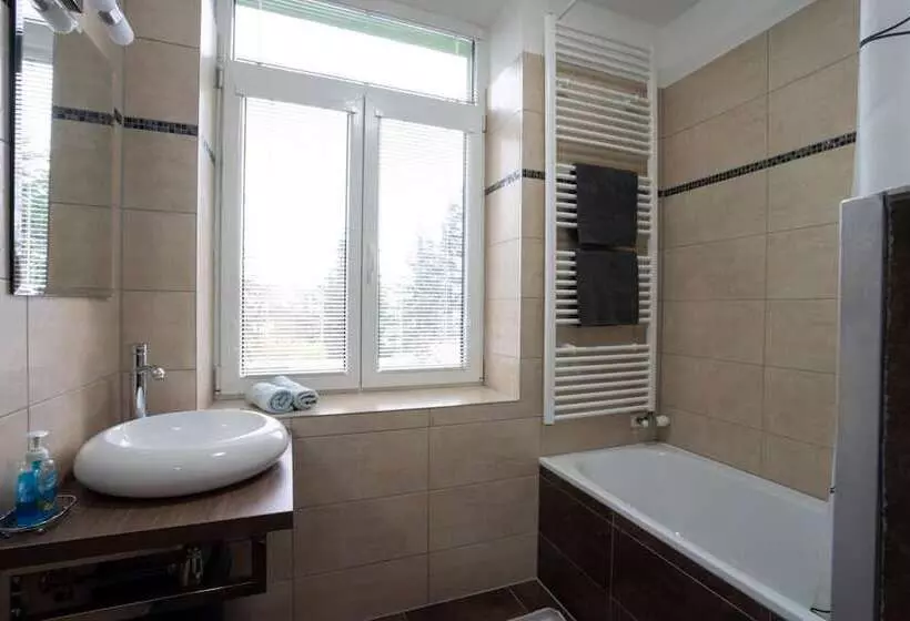デラックスルーム, Wellness Penzion U Grygarů