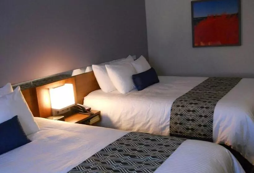スタンダードルーム, Microtel Inn & Suites Sault Ste. Marie