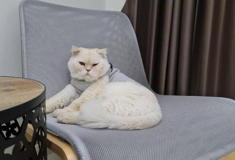 Номер Deluxe, Christella Hotel Laemchabang