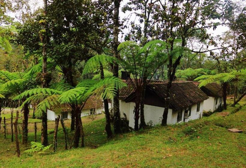 بانگلوی استاندارد 2 خوابه, Posada Montaña Del Quetzal