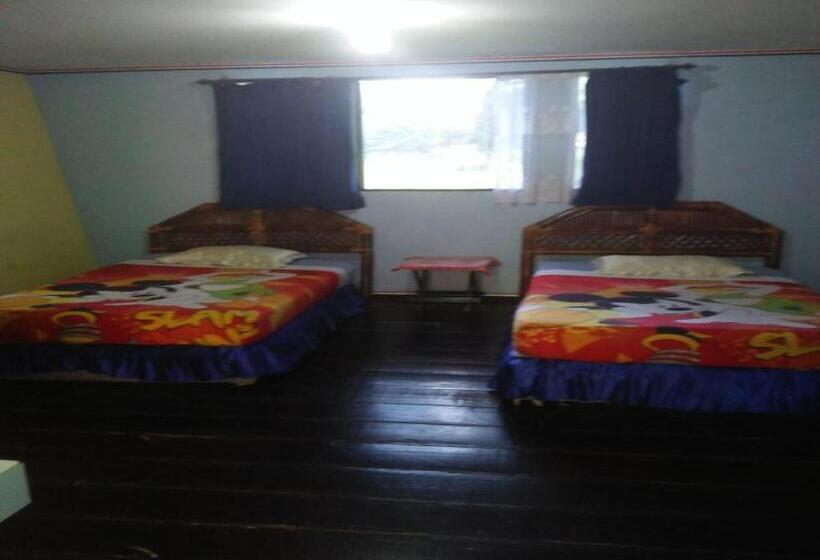 חדר סטנדרט, Roman Sinasi