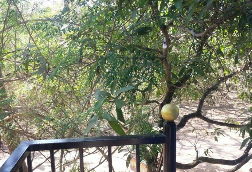 Huoneisto 1 Makuuhuone Puutarhanäkymä, Seashell