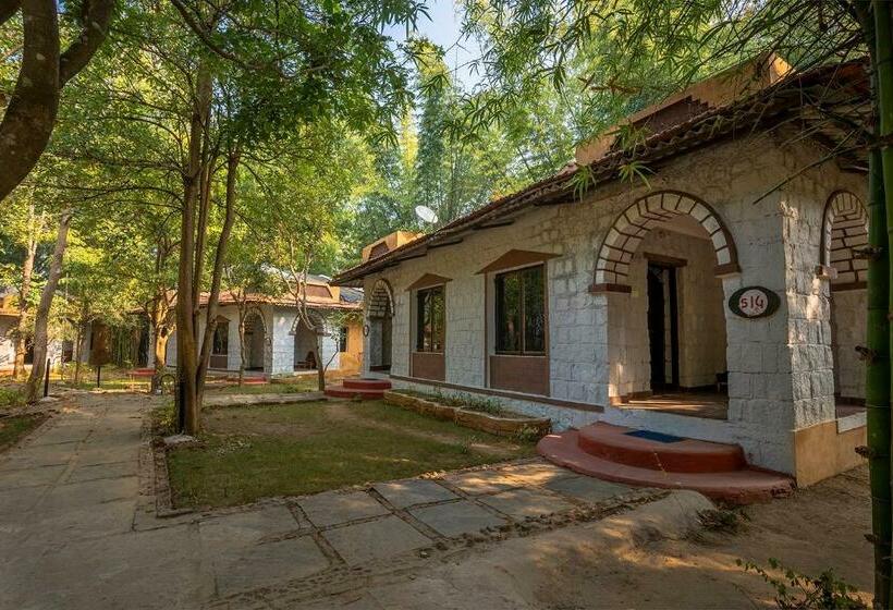 חדר סטנדרט עם מיטת קינג, Jungle King Resort