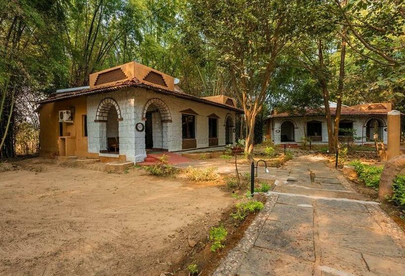 Стандартный Номер Кровать Кинг, Jungle King Resort