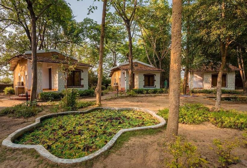 Номер Стандарт, Jungle King Resort