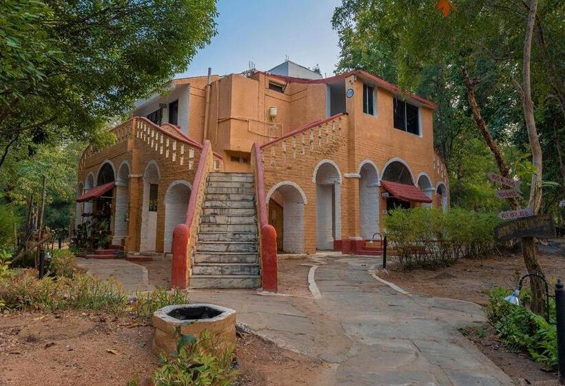 Номер Economy, Jungle King Resort