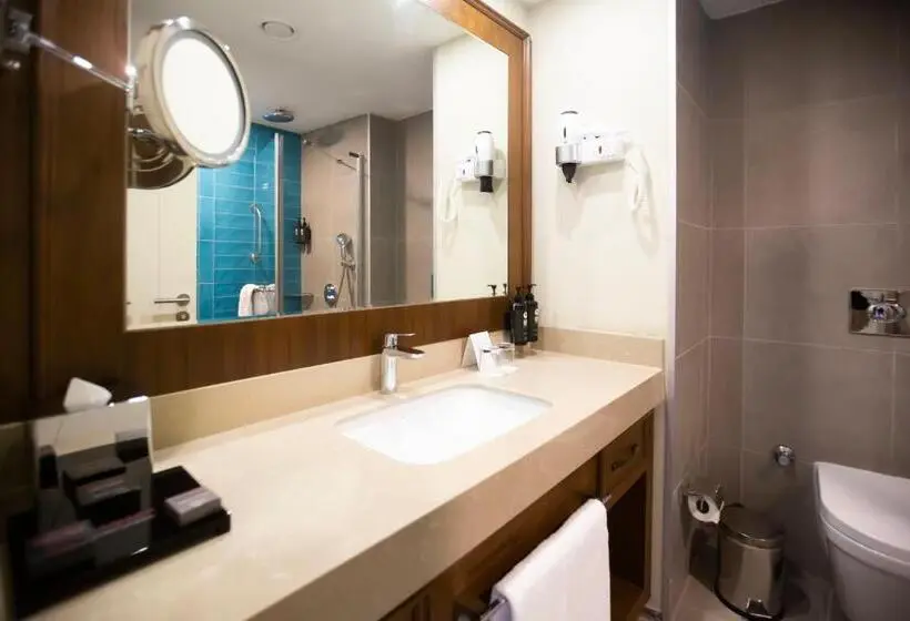اتاق سوپریور یک تخته, Ramada Plaza By Wyndham Sultanahmet