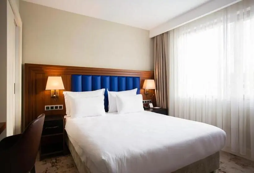 اتاق سوپریور یک تخته, Ramada Plaza By Wyndham Sultanahmet