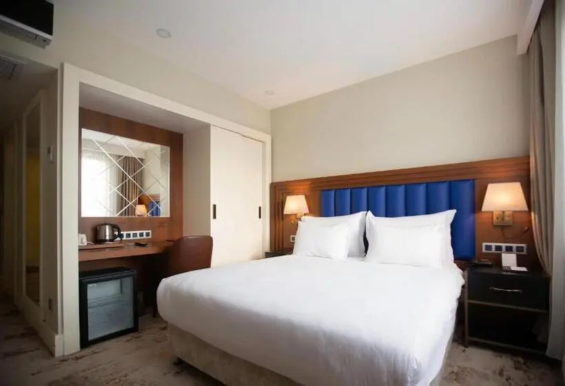Superior Single Room