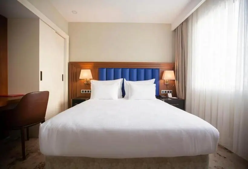 اتاق سوپریور یک تخته, Ramada Plaza By Wyndham Sultanahmet