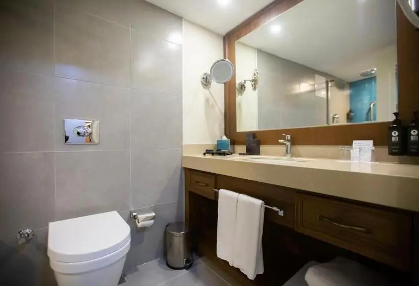 سوئیت با تخت بزرگ, Ramada Plaza By Wyndham Sultanahmet