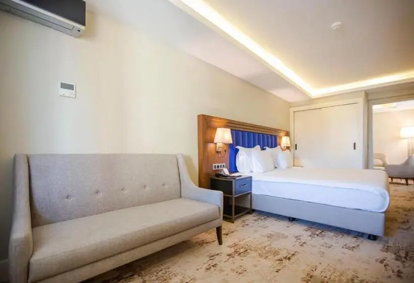 سوئیت با تخت بزرگ, Ramada Plaza By Wyndham Sultanahmet