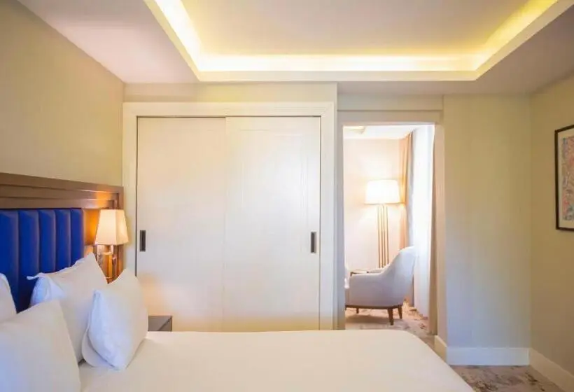 سوئیت با تخت بزرگ, Ramada Plaza By Wyndham Sultanahmet