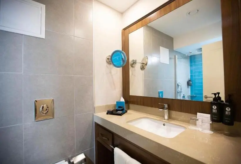 اتاق دلوکس با تخت کینگ و چشم‌انداز شهر, Ramada Plaza By Wyndham Sultanahmet