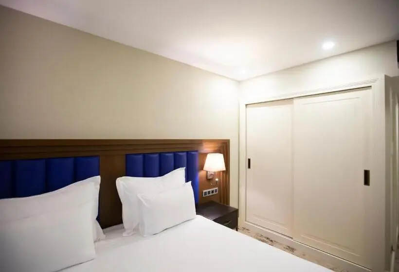 اتاق دلوکس با تخت کینگ و چشم‌انداز شهر, Ramada Plaza By Wyndham Sultanahmet