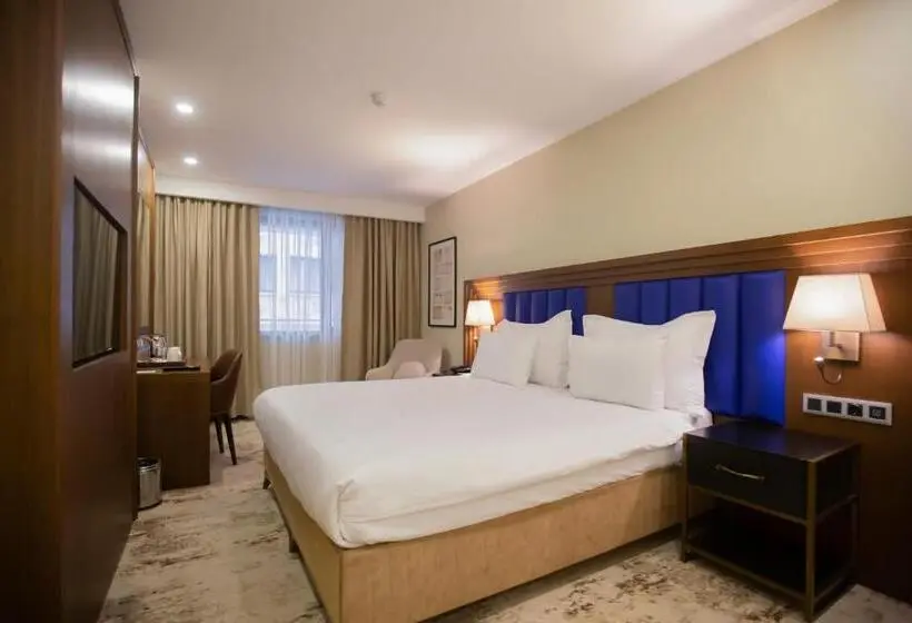اتاق دلوکس با تخت کینگ و چشم‌انداز شهر, Ramada Plaza By Wyndham Sultanahmet