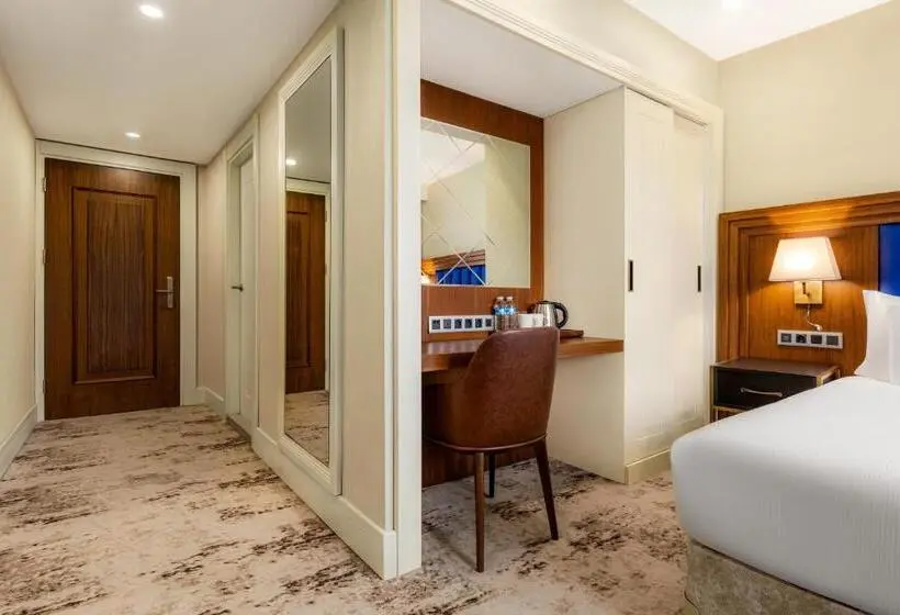اتاق سوپریور با چشم‌انداز استخر, Ramada Plaza By Wyndham Sultanahmet