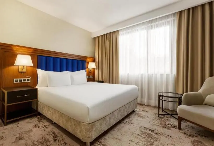 اتاق سوپریور با چشم‌انداز استخر, Ramada Plaza By Wyndham Sultanahmet