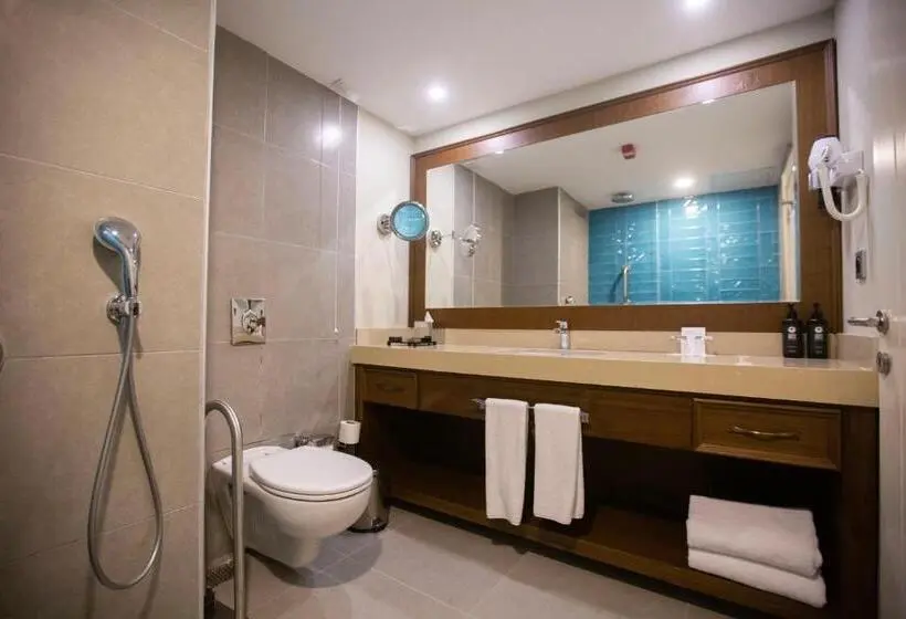 اتاق استاندارد برای معلولان, Ramada Plaza By Wyndham Sultanahmet
